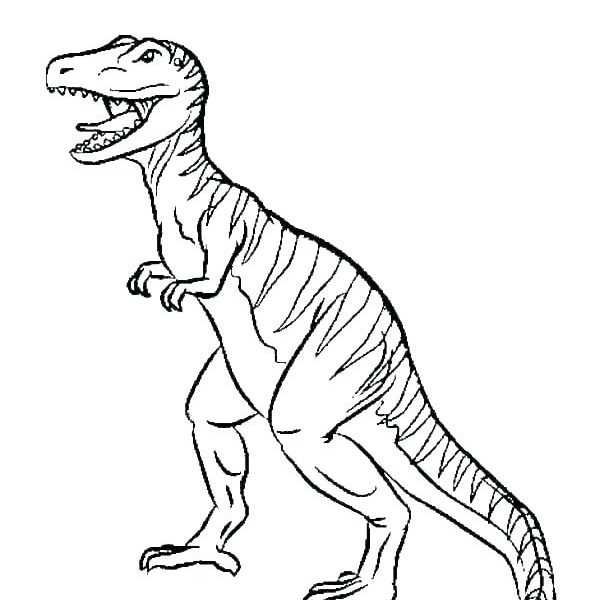 Tyrannosaurus Rex Skeleton Drawing at PaintingValley.com | Explore ...