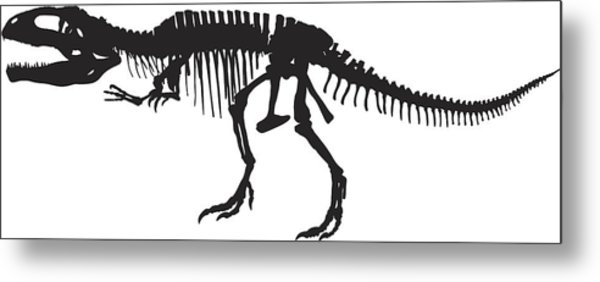 600x282 T Rex Skeleton - Tyrannosaurus Rex Skeleton Drawing