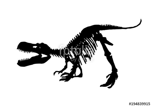 500x354 tyrannosaurus rex skeleton fossil, isolated dinosaur vector - Tyrannosaurus Rex Skeleton Drawing