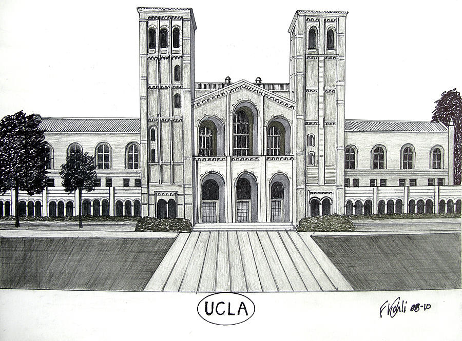 900x665 U C L A Drawing - Ucla Drawing