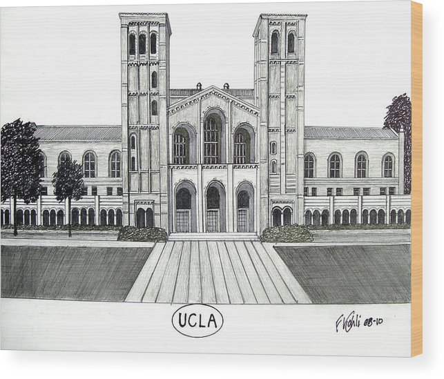 643x549 U C L A Wood Print - Ucla Drawing