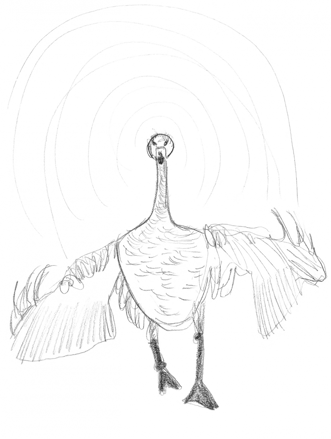 1080x1433 marina says ugly things but draws cute ducklings - Ugly Duckling Drawing