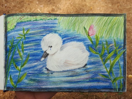 512x383 the ugly duckling - Ugly Duckling Drawing