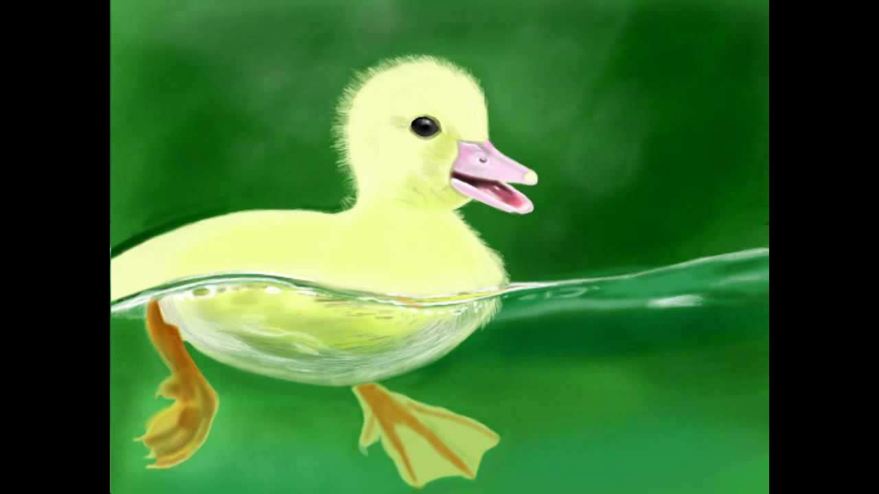 1280x720 ugly duckling - Ugly Duckling Drawing