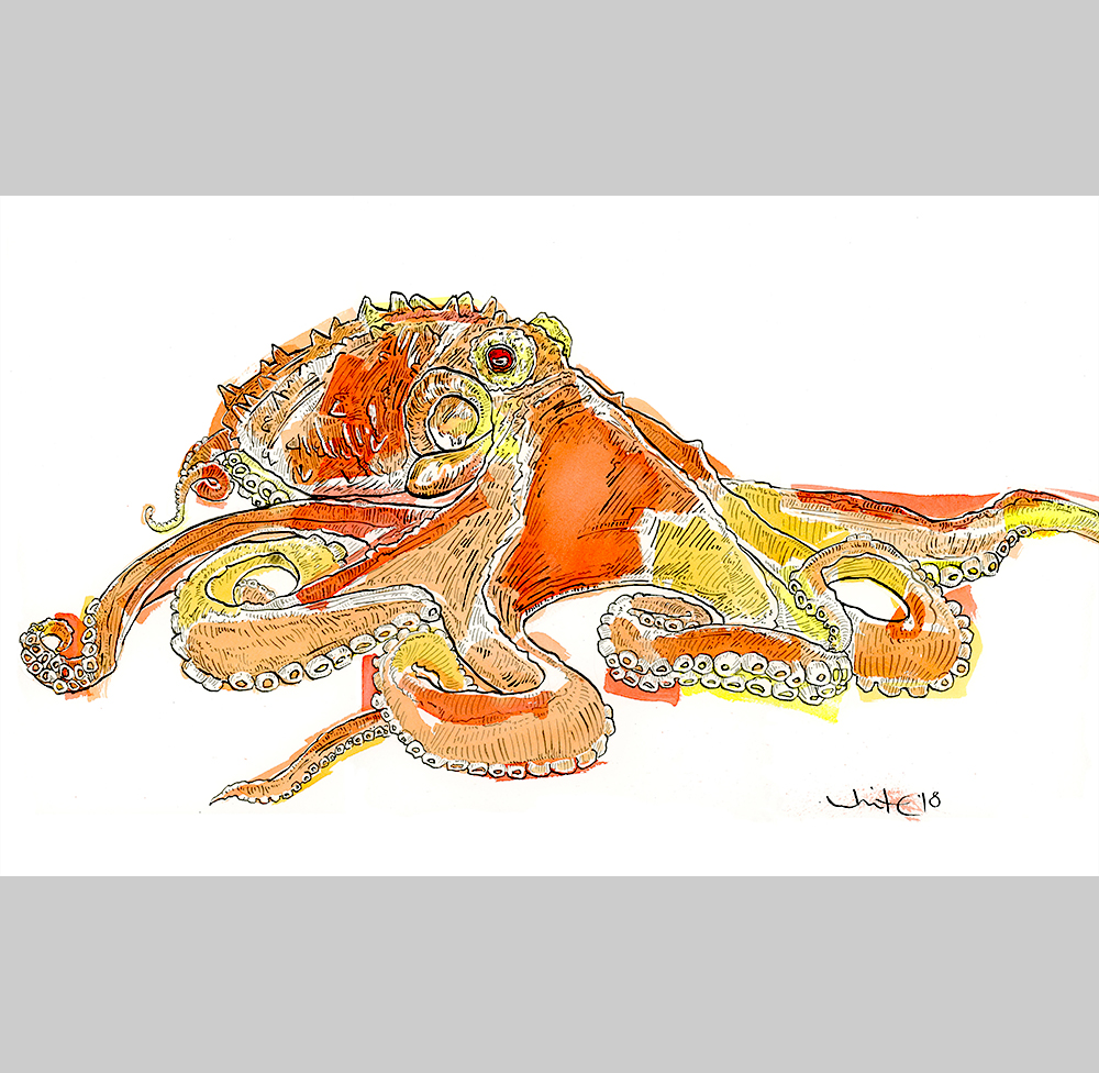 1000x976 exhibitions - Uk Drawing