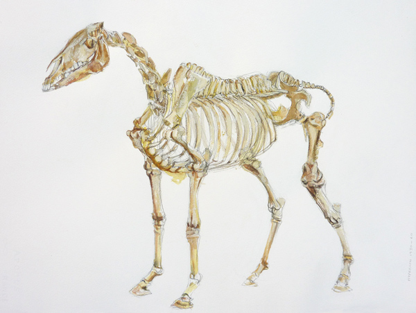 600x451  - Uk Drawing