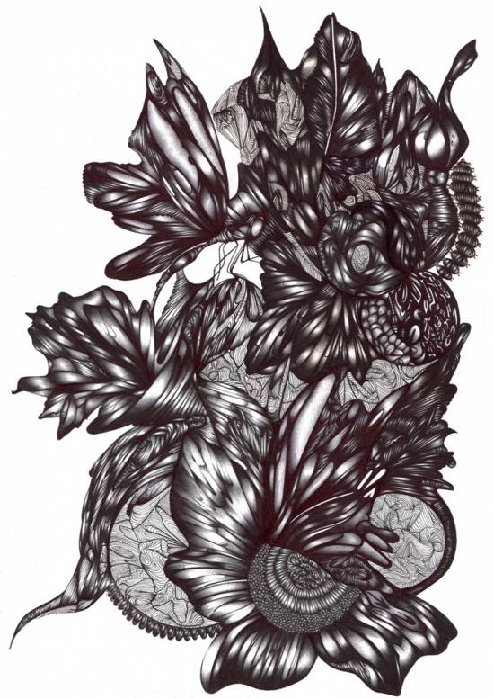 550x777 Drawings Portfolio - Uk Drawing