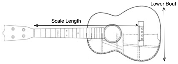 600x218 Ukulele Sizes Tunings - Ukulele Line Drawing