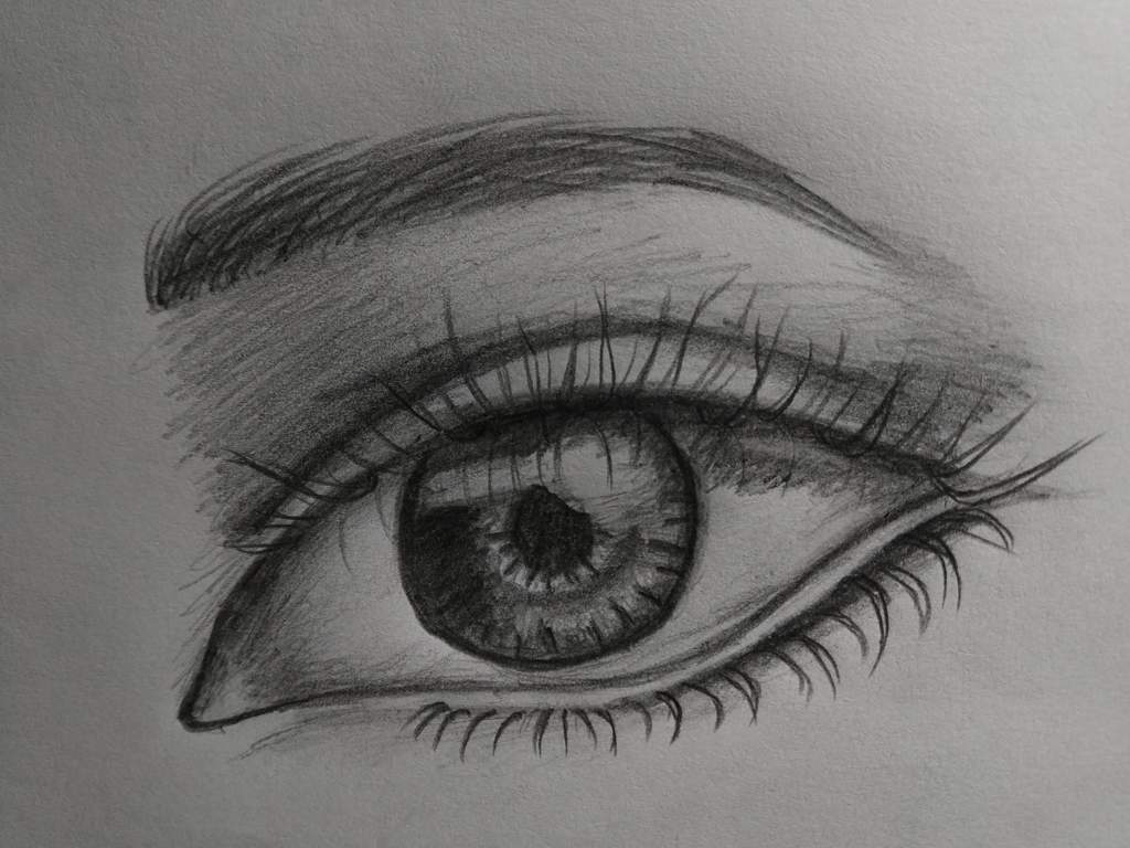 1024x768 eye from the ultimate drawing course beginner to advance - Ultimate Drawing