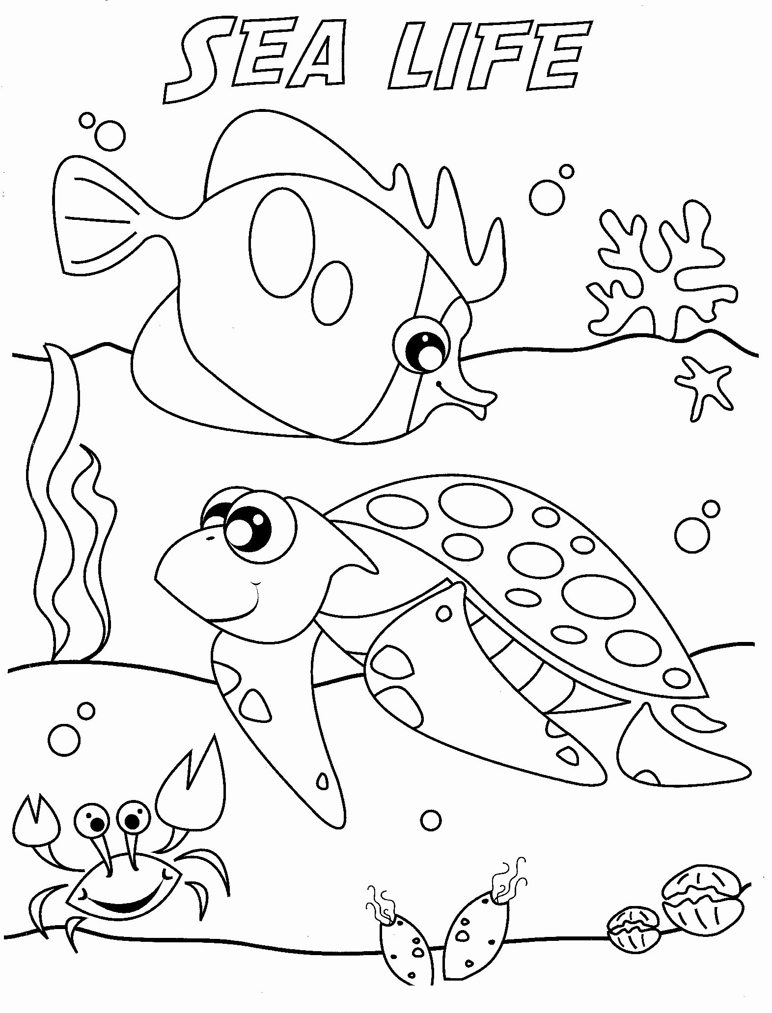 1572x2064 Sea Life Online Coloring Pages Luxury Under Sea For Drawing - Under Sea Pictures For Drawing