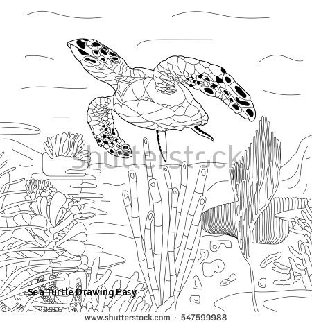 450x470 Sea Turtle Drawing Easy Under Sea For Drawing - Under Sea Pictures For Drawing