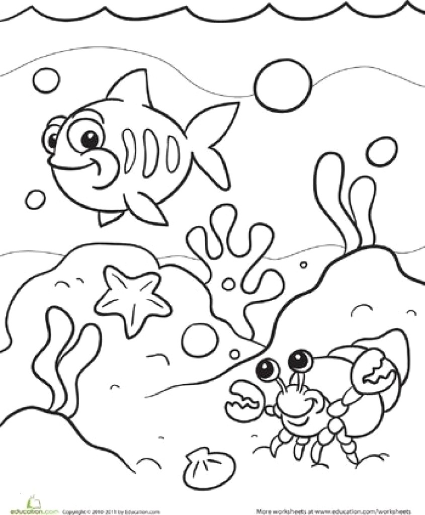 Under Sea Pictures For Drawing at PaintingValley.com | Explore ...