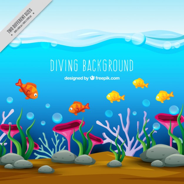 626x626 Under The Sea Life Vector Free Download - Under Sea Pictures For Drawing