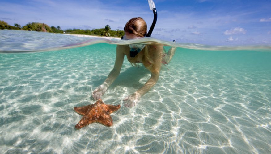 877x500 How To Draw Under The Sea Our Pastimes - Under The Ocean Drawing