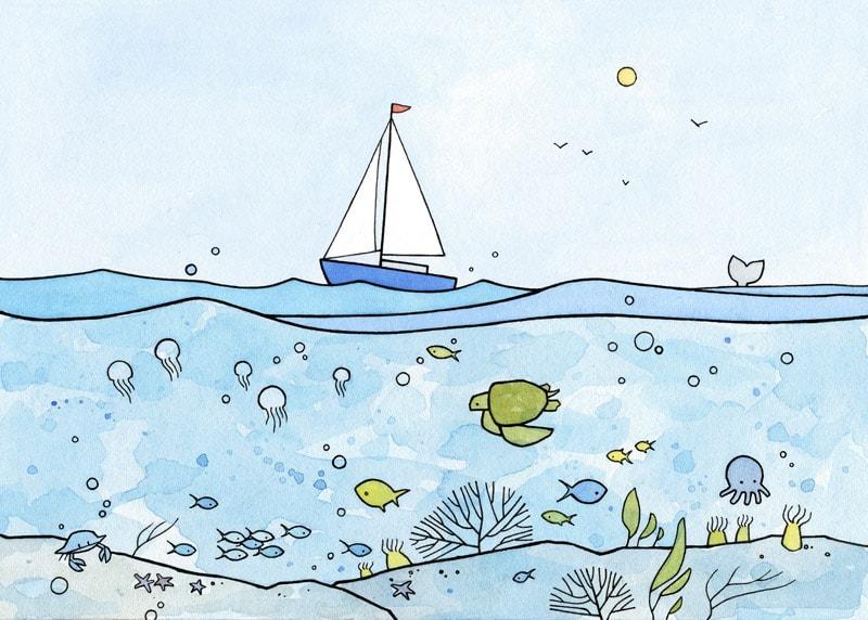 800x572 Under The Sea! Underwater Ocean Illustrations - Under The Ocean Drawing