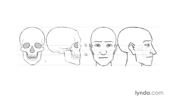 600x338 Understanding Anatomy - Understanding Drawing