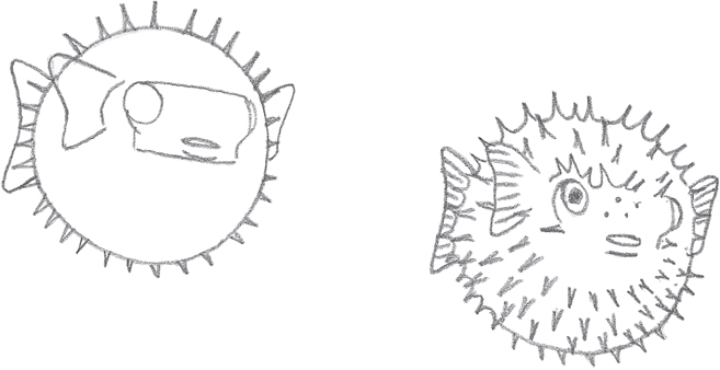 657x338 Getting Started - Underwater Animals Drawing