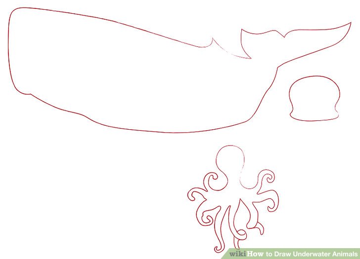 728x525 how to draw underwater animals steps - Underwater Animals Drawing