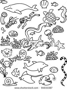236x318 Sea Life Drawing - Underwater Animals Drawing