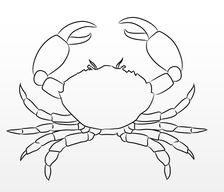 224x192 Drawing Sea Creatures - Underwater Animals Drawing