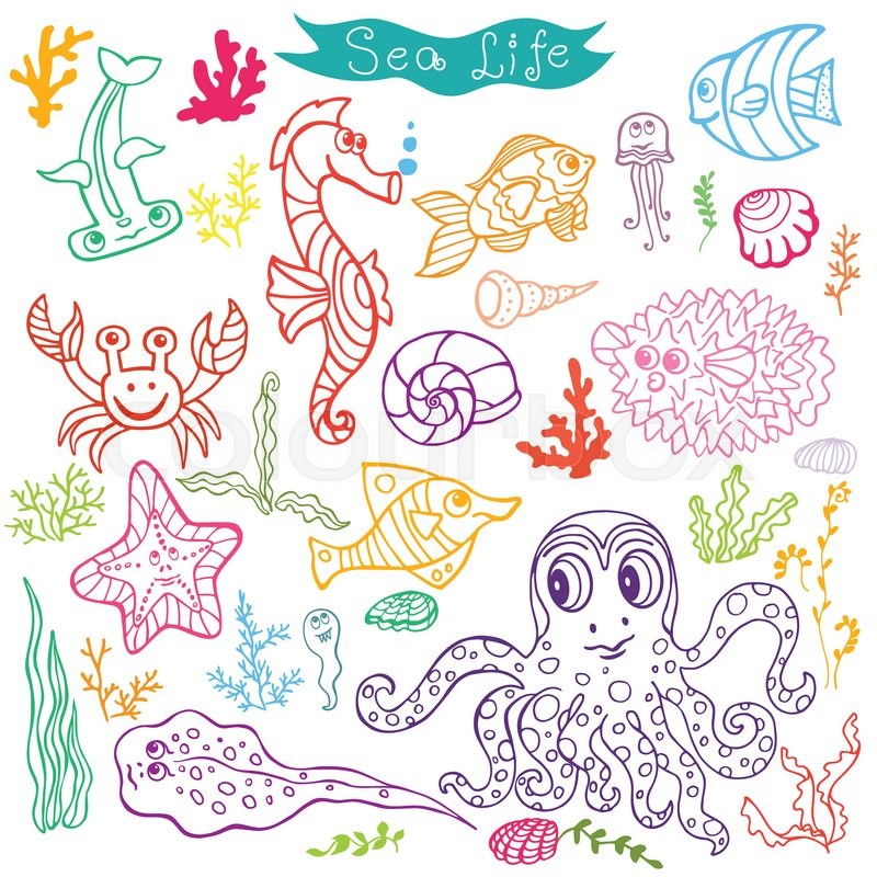 800x800 Sea Life Animals Set Fsh, Octopus, Stock Vector Colourbox - Underwater Cartoon Drawing