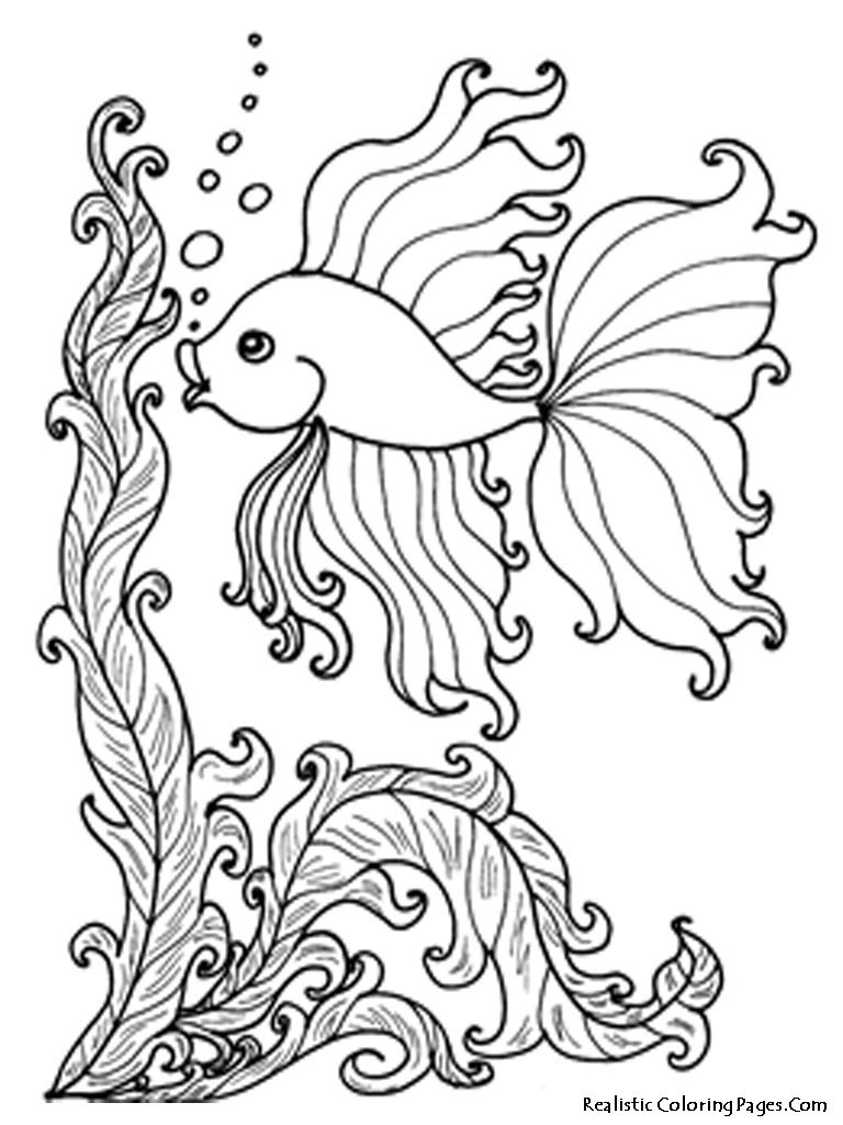 768x1024 underwater cartoon drawing at getdrawings of ocean life coloring - Underwater Cartoon Drawing