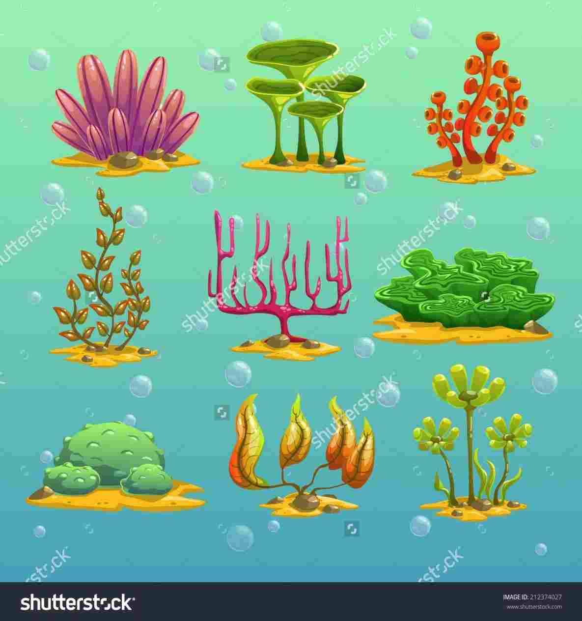 1185x1264 tropical floor underwater cartoon drawing - Underwater Cartoon Drawing