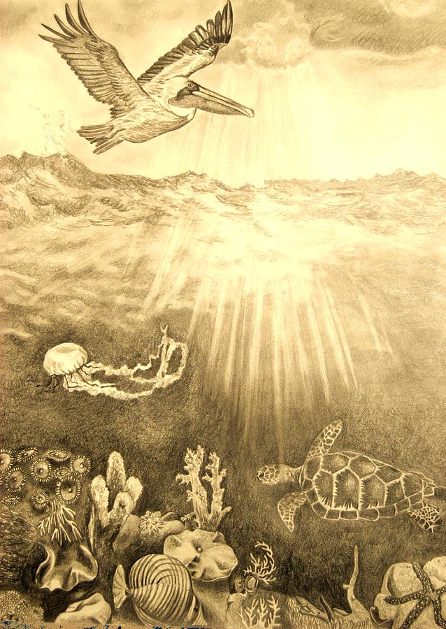 638x900 Underwater Bliss Drawing - Underwater Drawing