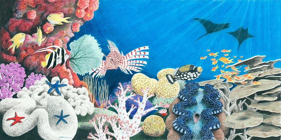 900x450 Underwater Rainbow Drawing - Underwater Drawing