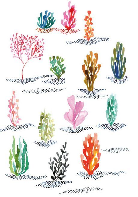 459x655 Algae Ilustracion Acuarela - Underwater Plants Drawing