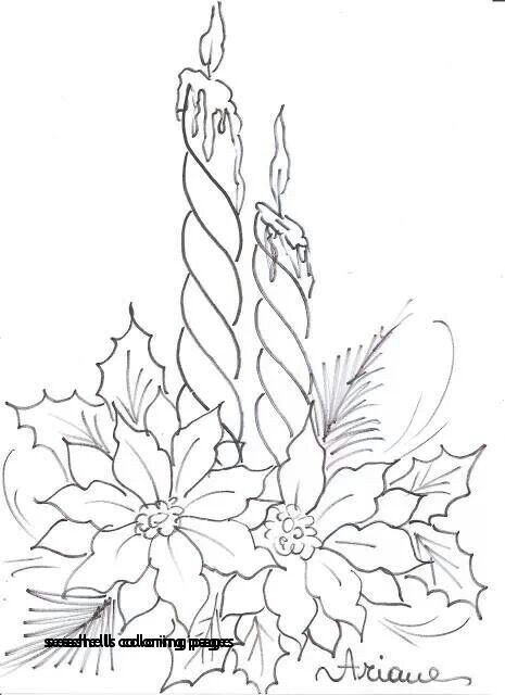 465x640 Seashell Coloring Pages Sea Plants Coloring Pages Elegant - Underwater Plants Drawing