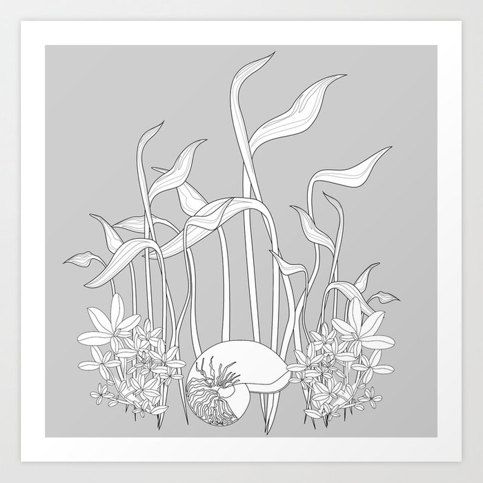700x700 Underwater Plants, Seashell Black And White Fine Vector - Underwater Plants Drawing
