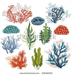 236x246 Underwater Plants - Underwater Plants Drawing