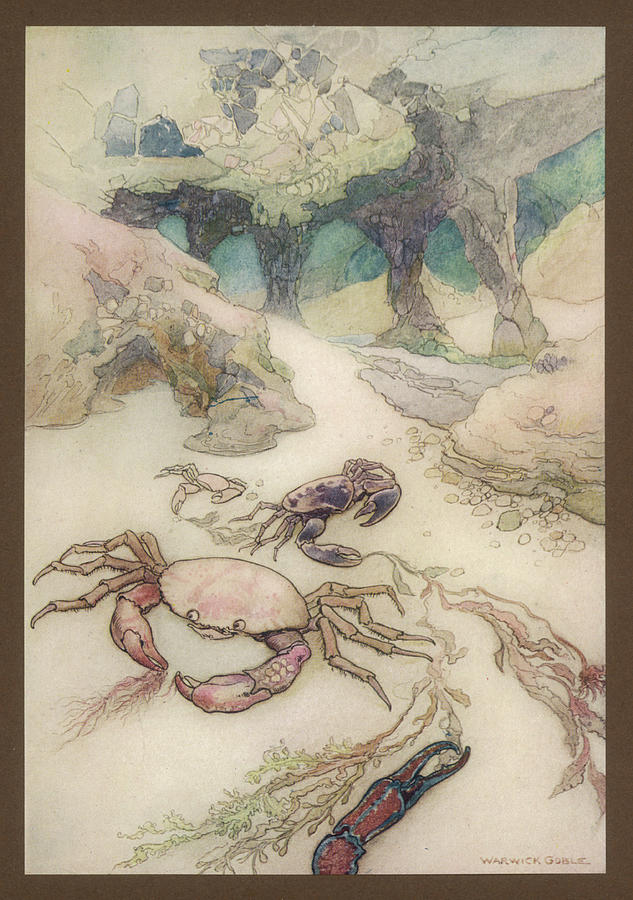 633x900 An Underwater Scene Drawing - Underwater Scene Drawing