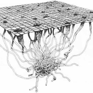 320x320 The Woven Earth And The Tangled Underworld Of The Mesoamerican - Underworld Drawing