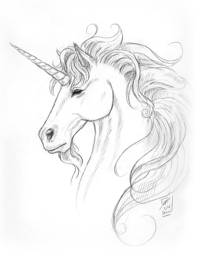 706x900 Unicorn Portrait Drawing - Unicorn Drawing