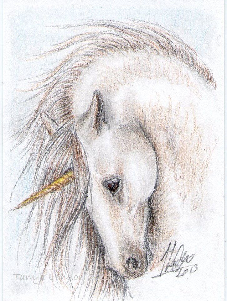 726x960 The Games Factory Drawings Paintings Unicorn Drawing - Unicorn Drawing Games