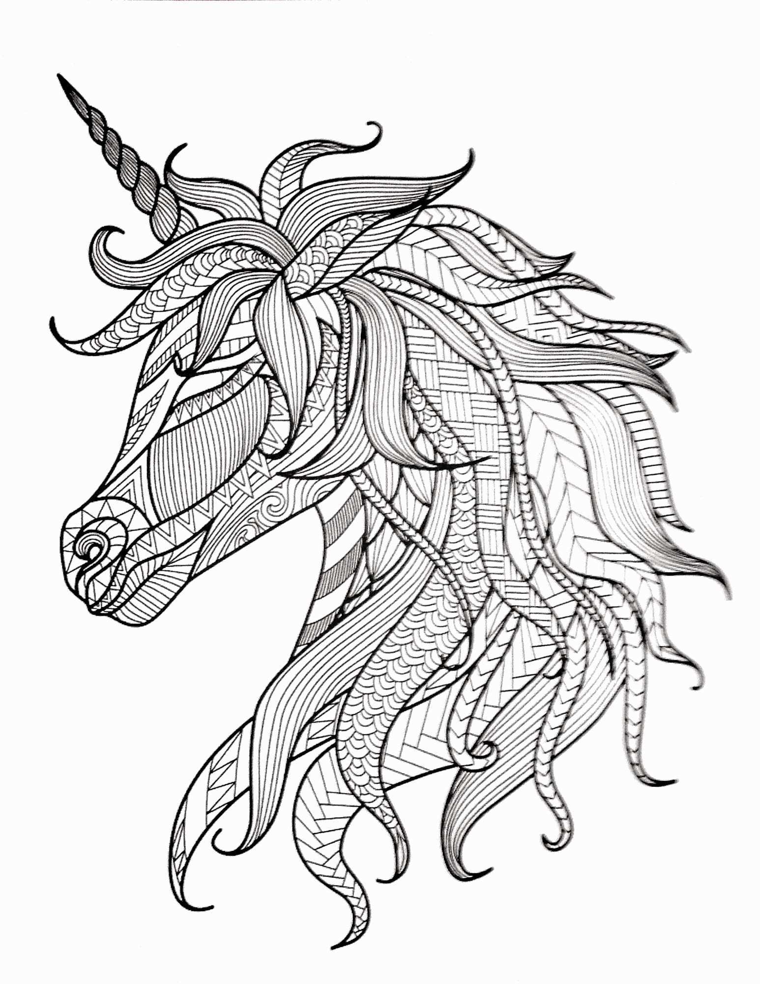1546x2000 free unicorn coloring pages best of unicorn drawing best unicorn - Unicorn Drawing Images