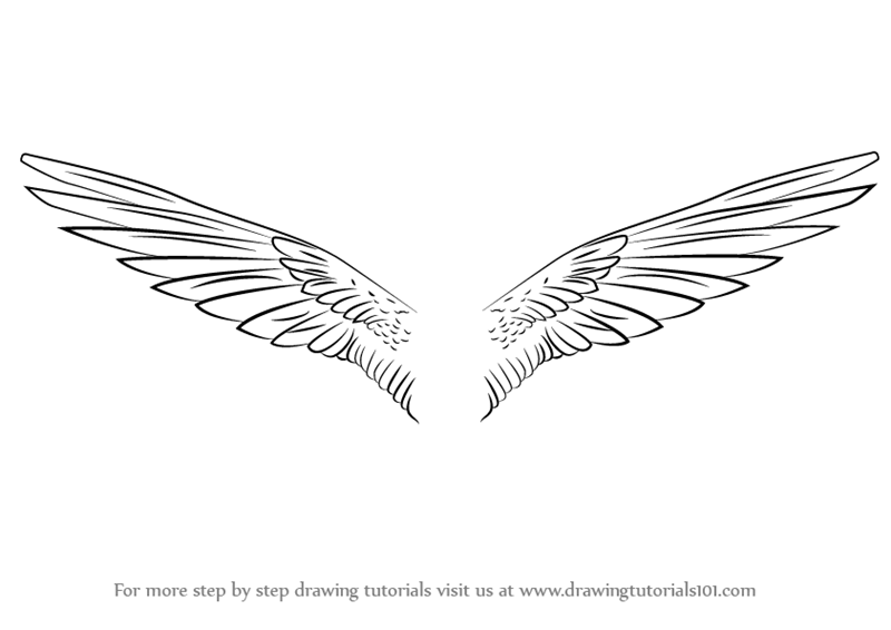 800x566 Learn How To Draw Unicorn Wings - Unicorn Drawing Pictures