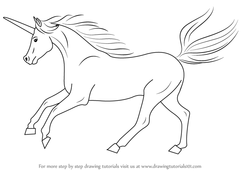 800x566 Learn How To Draw A Unicorn - Unicorn Drawing Pictures