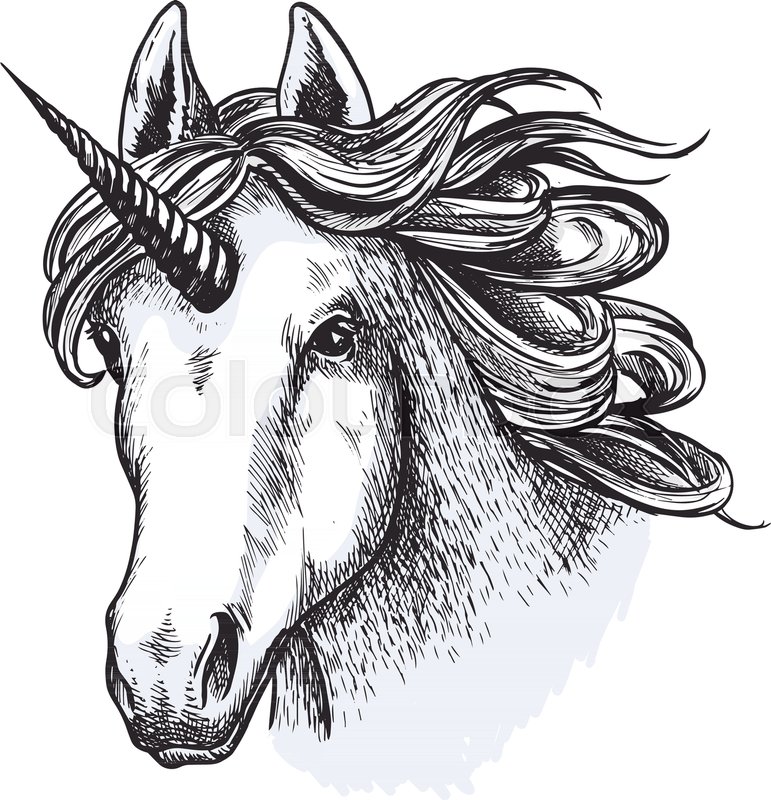 771x800 Unicorn Head Or Muzzle Sketch Design Stock Vector Colourbox - Unicorn Head Drawing