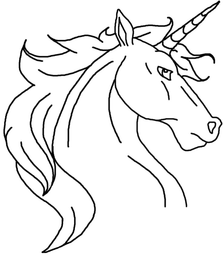 736x840 Learn How To Draw Unicorn Head - Unicorn Head Drawing
