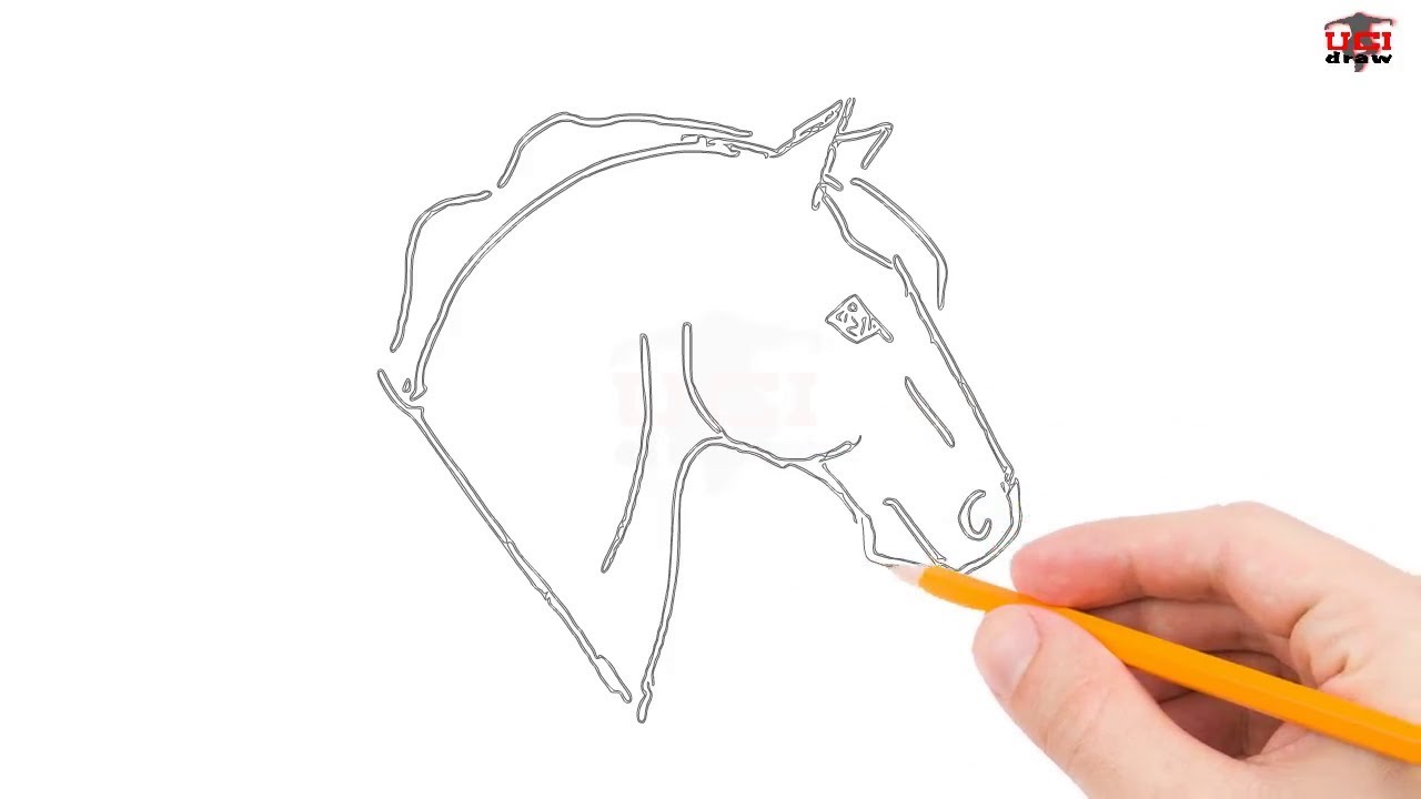 1280x720 How To Draw A Horse Head Step - Unicorn Head Drawing Easy