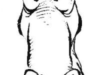 200x150 How To Draw A Unicorn Head Easy How To Draw - Unicorn Head Drawing Easy