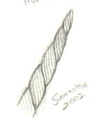 220x263 My Unicorn Drawings - Unicorn Horn Drawing