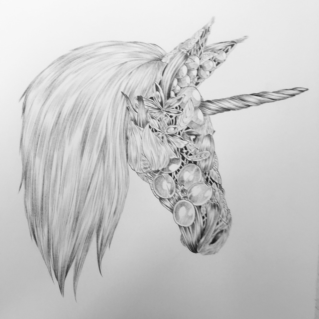 Unicorn Pencil Drawing at Explore collection of