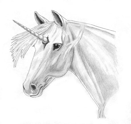 460x437 Sito Artchive 'unicorn' - Unicorn Pencil Drawing