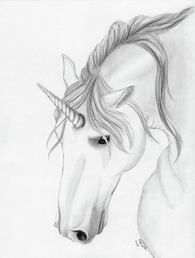 Unicorn Pencil Drawing at Explore collection of