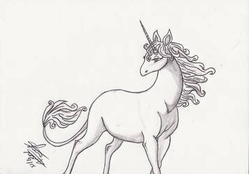357x250 Unicorn Pencil Sketch Finished - Unicorn Pencil Drawing
