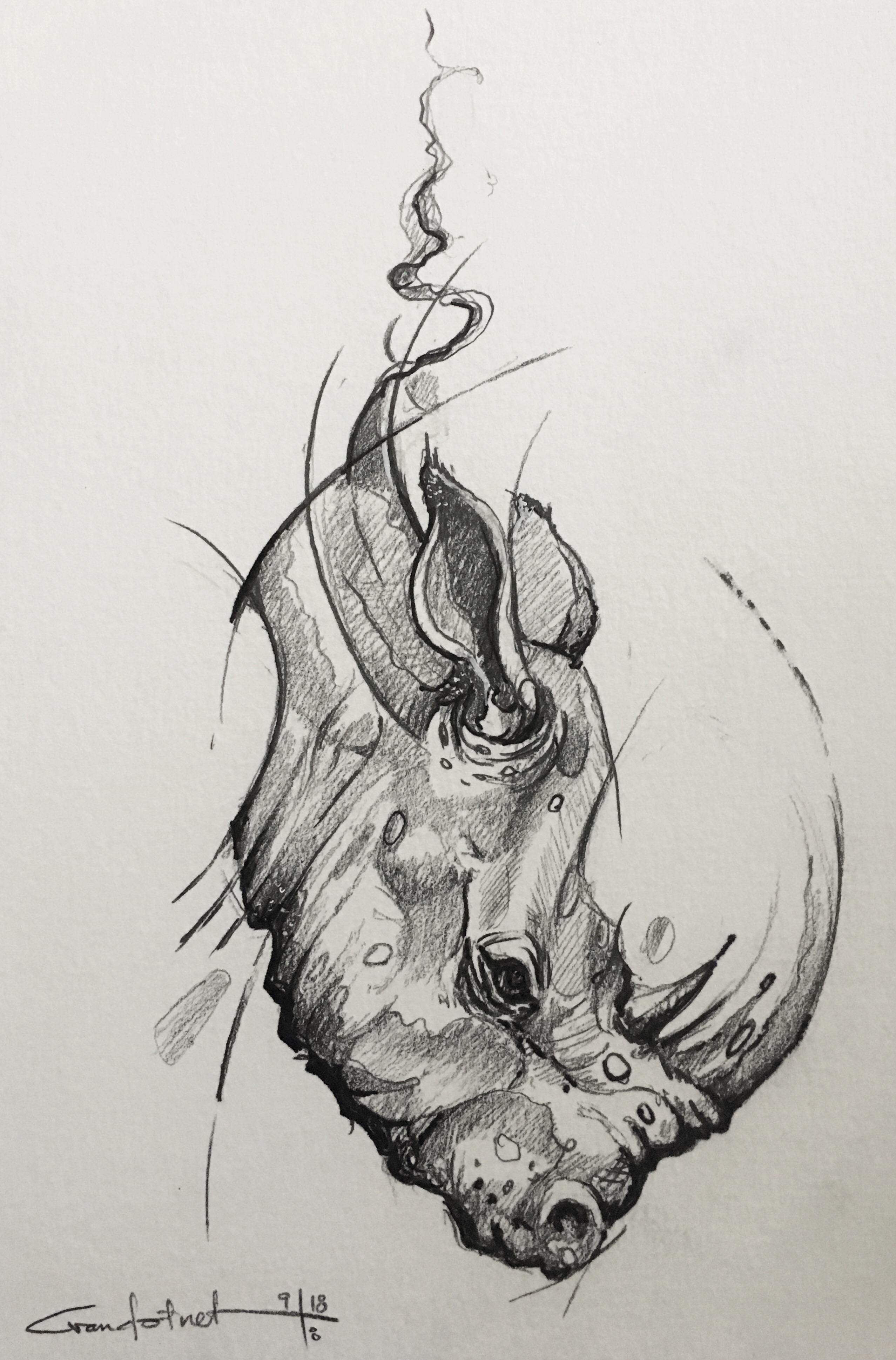 2555x3874 This Pencil Ink Art Drawing - Unicorn Pencil Drawing